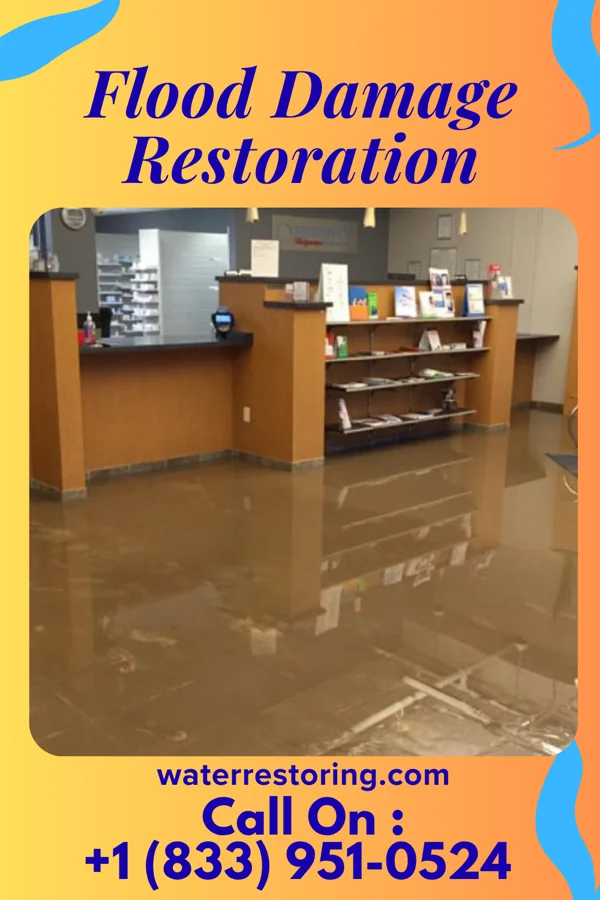 Flood Damage Restoration in Lake of the Woods, IL