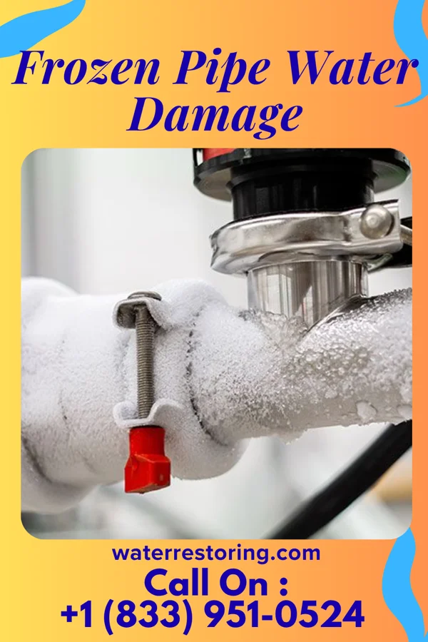 Frozen Pipe Water Damage in Lake of the Woods, IL
