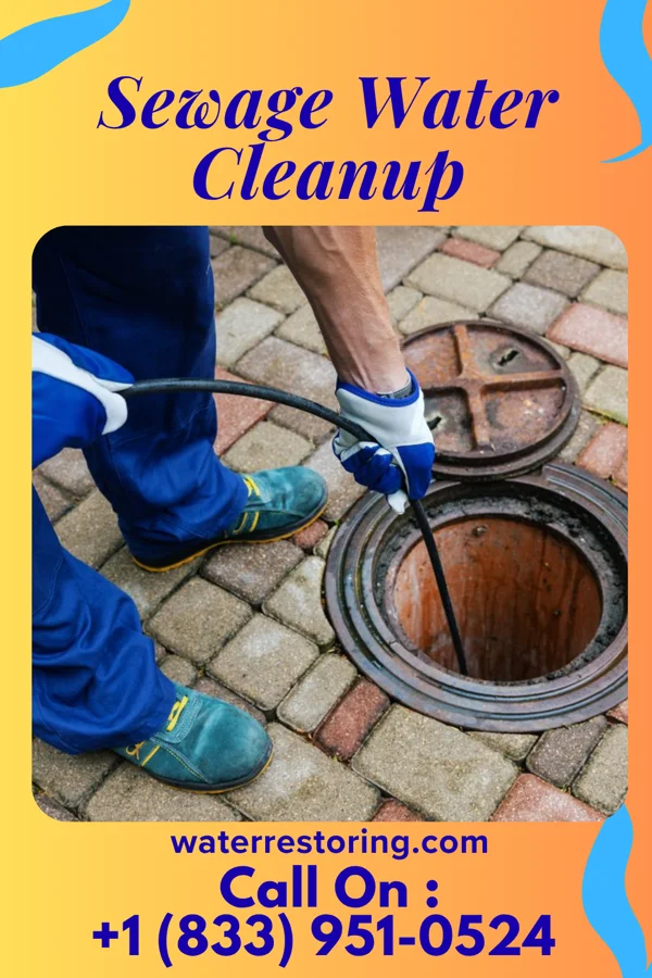 Sewage Water Cleanup in Lake of the Woods, IL