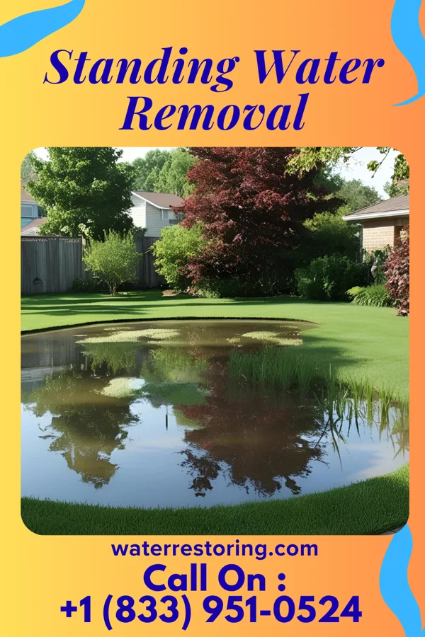 Standing Water Removal in Lake of the Woods, IL